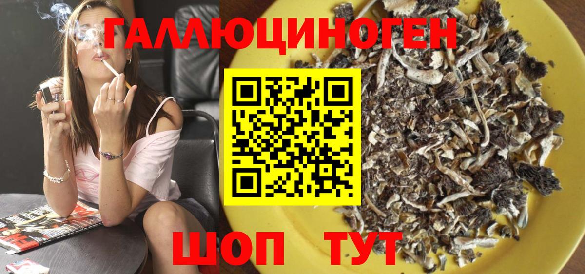 Реутов  Псилоцибиновые грибы Cubensis  наркошоп  Вход с VPN 