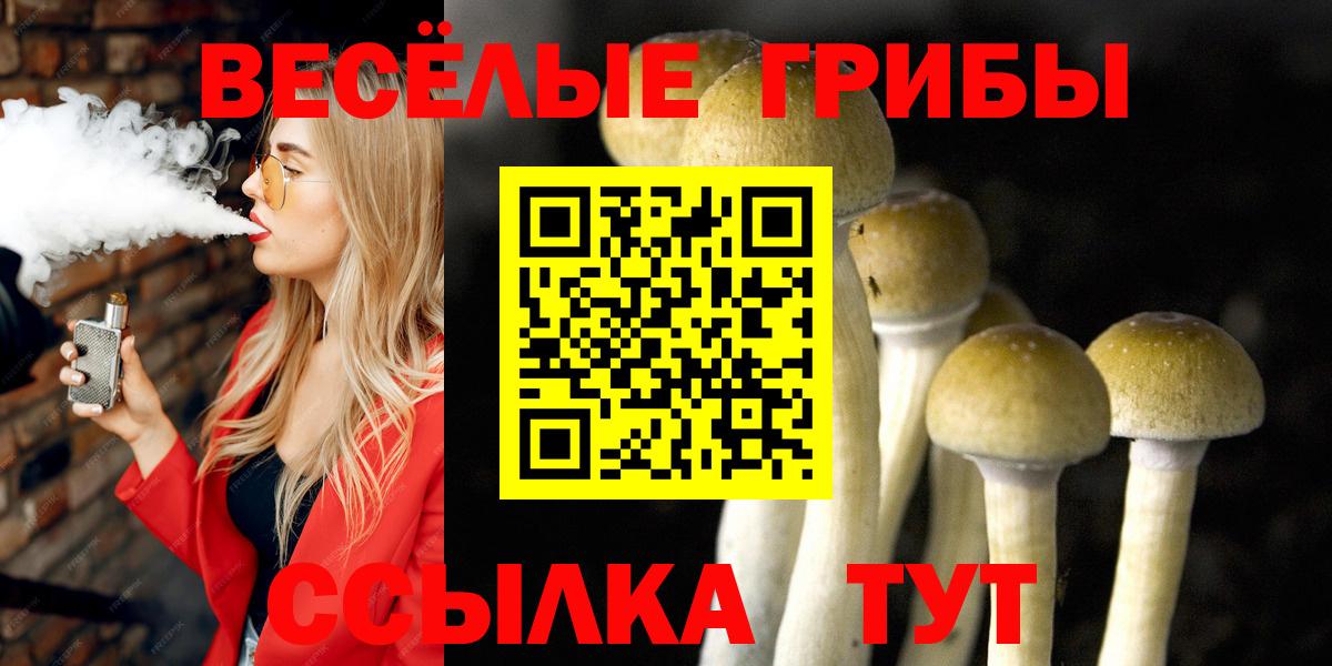 Псилоцибиновые грибы MAGIC MUSHROOMS Реутов